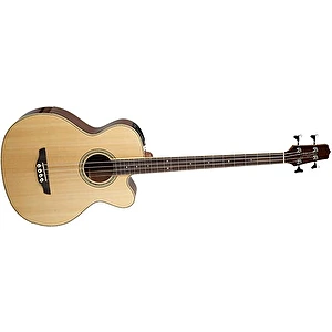 Akustická basgitara EGB2S-N Takamine