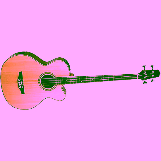 Akustická basgitara EGB2S-N Takamine