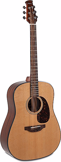 Akustická gitara Wood Classics AAD96-4 Natural Gloss Applause
