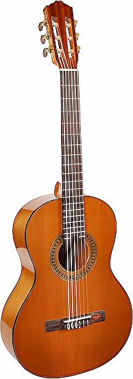 Klasická gitara 3/4 CC08 Junior Salvador Cortez