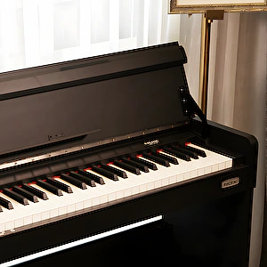 Piáno WK-310-BK Nux