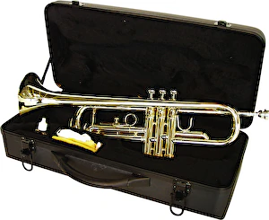 Trúbka TP-10 Bb Trumpet gold Dimavery