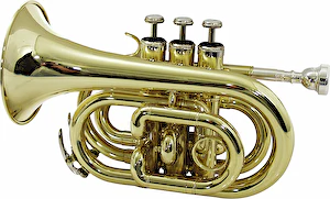 Trúbka TP-300 Bb Pocket Trumpet gold Dimavery
