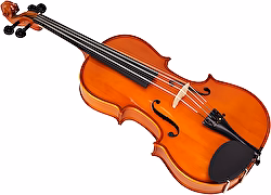 Violy