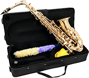 Saxofón Eb-Alt SP-30 zlatý Dimavery