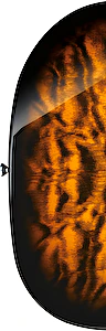 Elektrická gitara GRX70QA-SB Ibanez