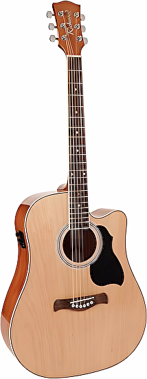 Elektro-akustická gitara Artist RD-12-CE Richwood
