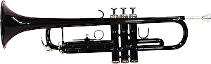 Trúbka TP-10 Bb Trumpet black Dimavery
