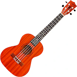 Tenorové ukulele SU026BG Natural Pasadena 