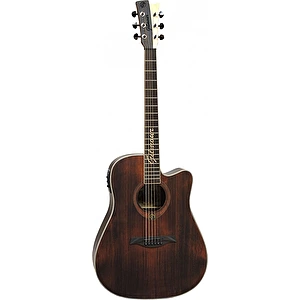 Elektro-akustická gitara ANTIQUE CEQ Gilmour