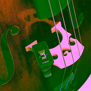 Ladička Eclipse Cello/Bass D&acute;Addario